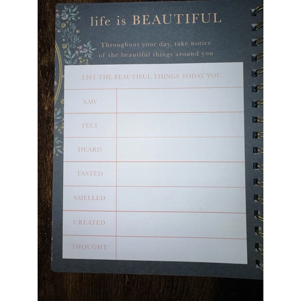 Lady Jane Guided  Journal Book 210 pages Gratitude Intention Goals Prompts